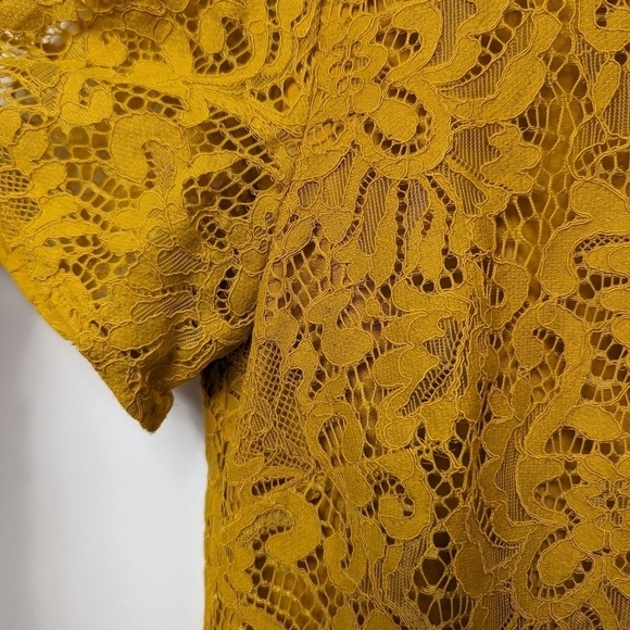 Loft Lace Shift Dress Sz 4 - Picture 6 of 11